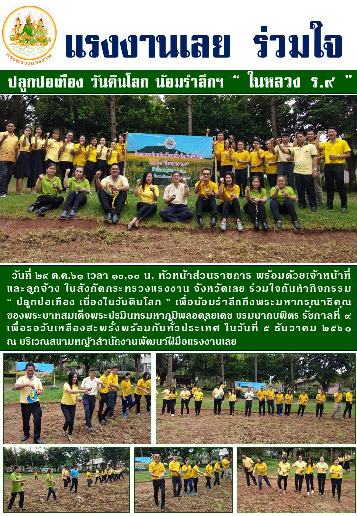 Mol-Thailand